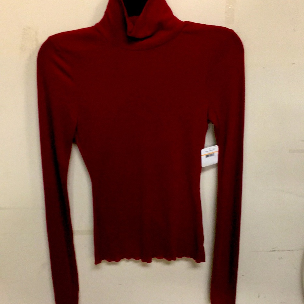 Free People Maroon Long Sleeve Turtleneck